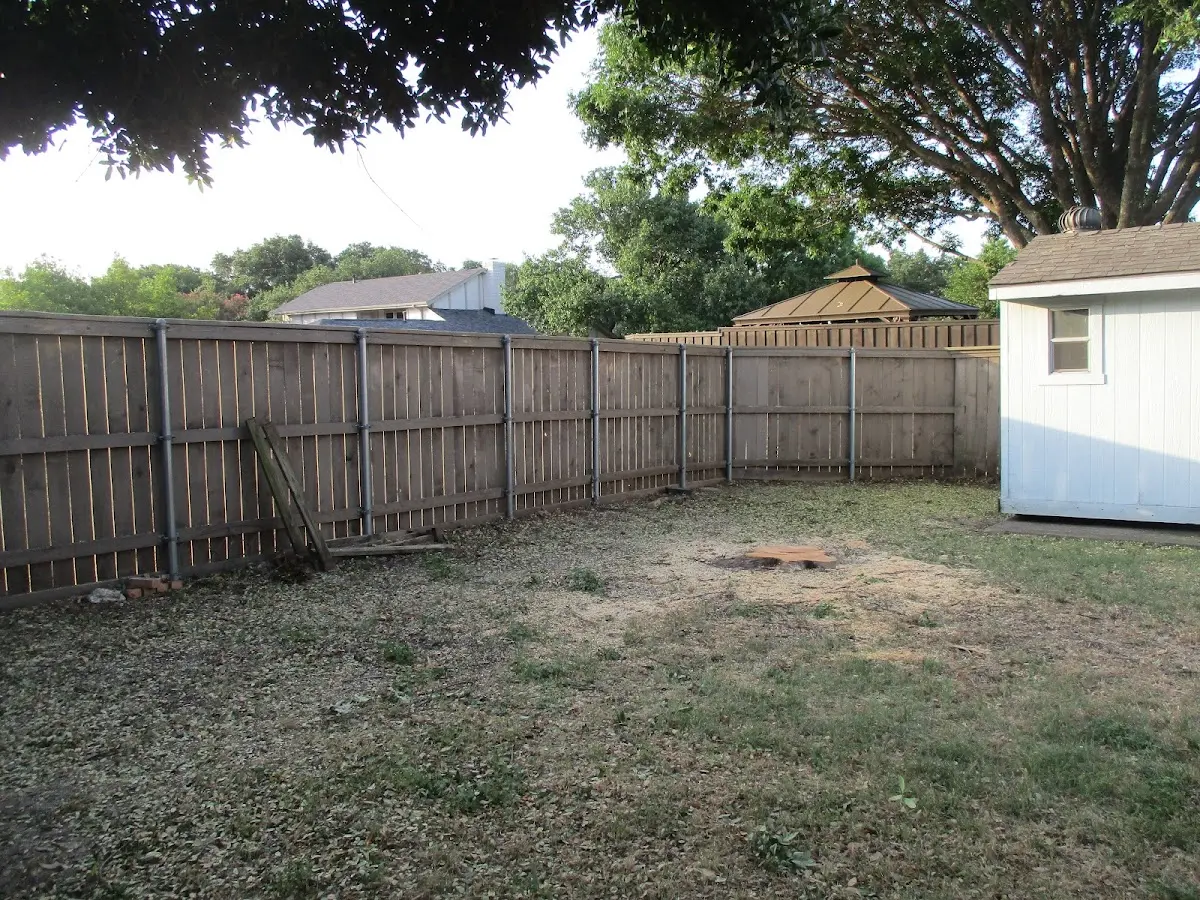Cleared yard after professional tree removal in Birmingham